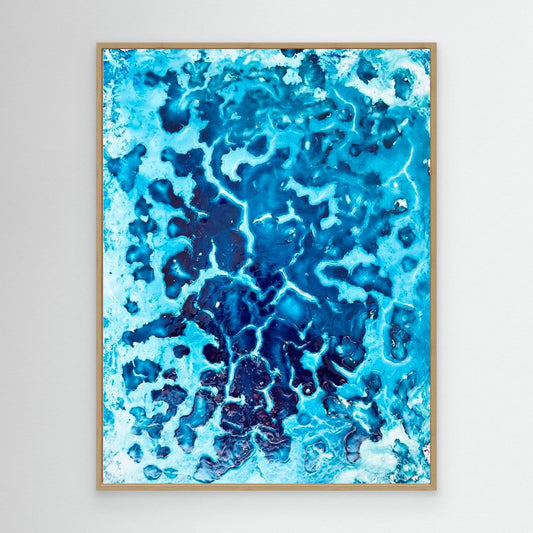 #31 - 💭 Flush of Dreams