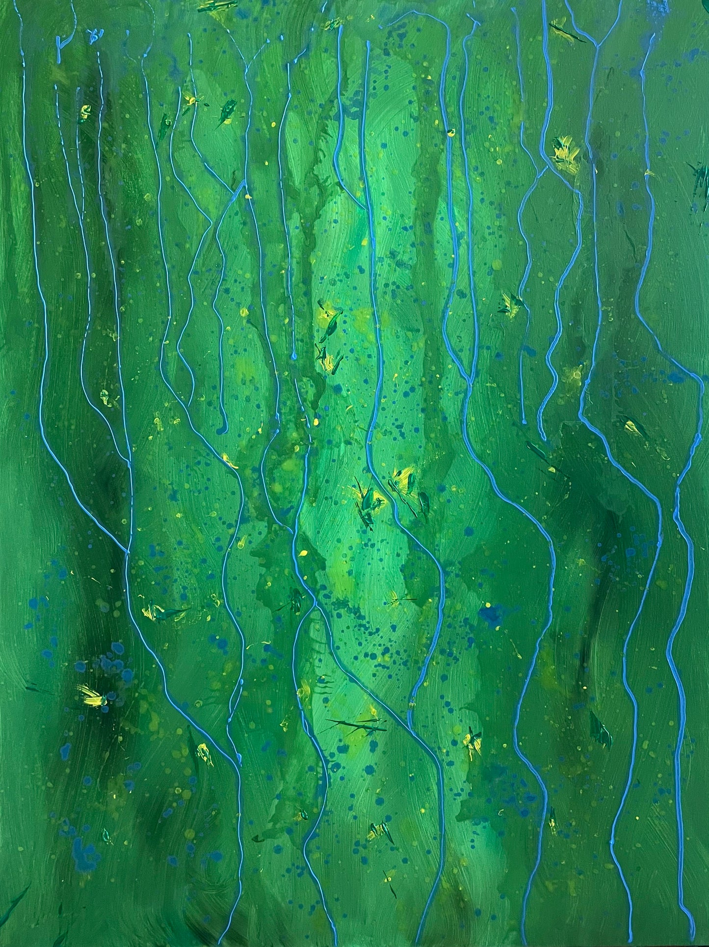 #15 - 🩻 Plant on X-ray