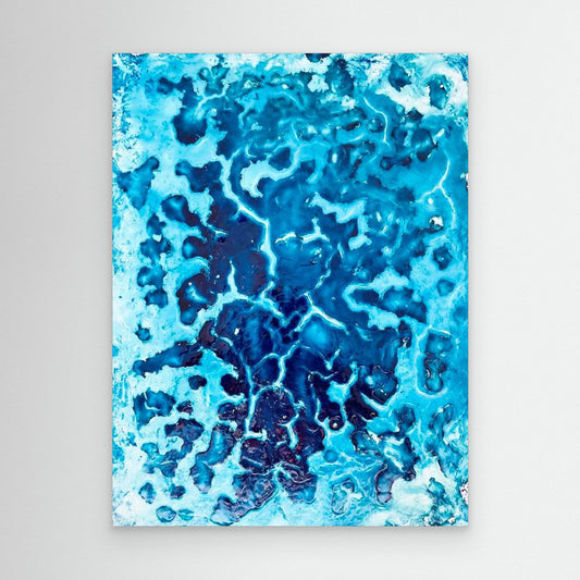 #31 - 💭 Flush of Dreams